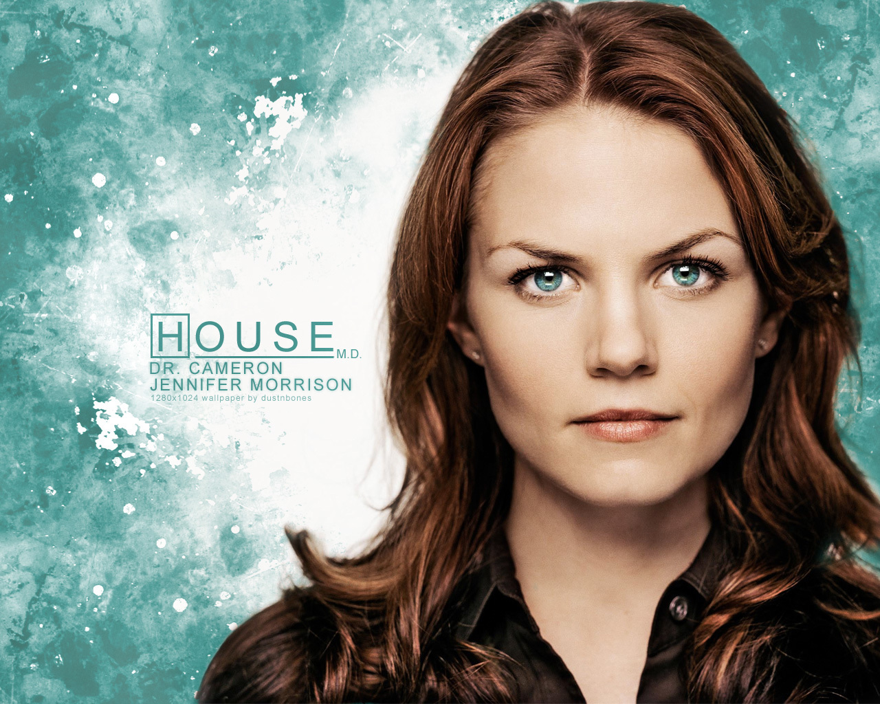 dr-cameron-house-md-5205741-1280-1024[1]