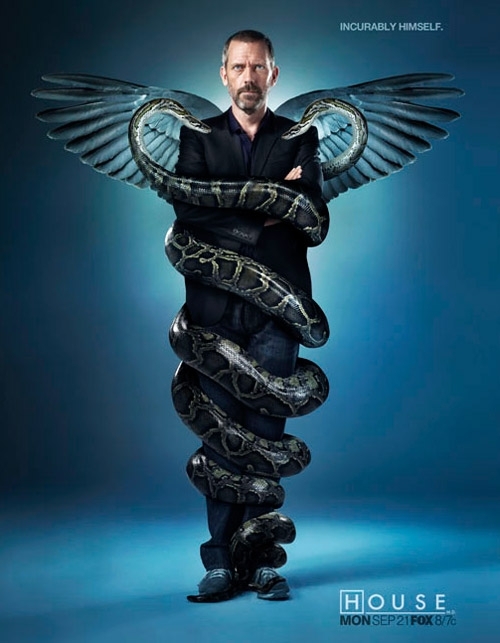 Snakes-on-a-Cane-Ad-for-Season-6-of-House-M-D-2[1]